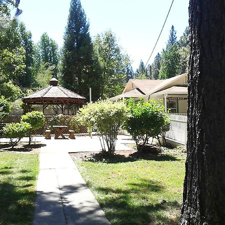 Nevada City Inn Zewnętrze zdjęcie